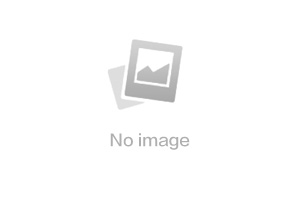 信创产业链环境建设学术会议在我市召开